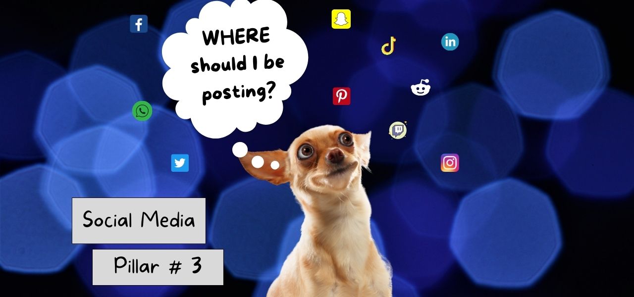 Copy of ncarlson.biz social media (1280 × 600 px) (2)